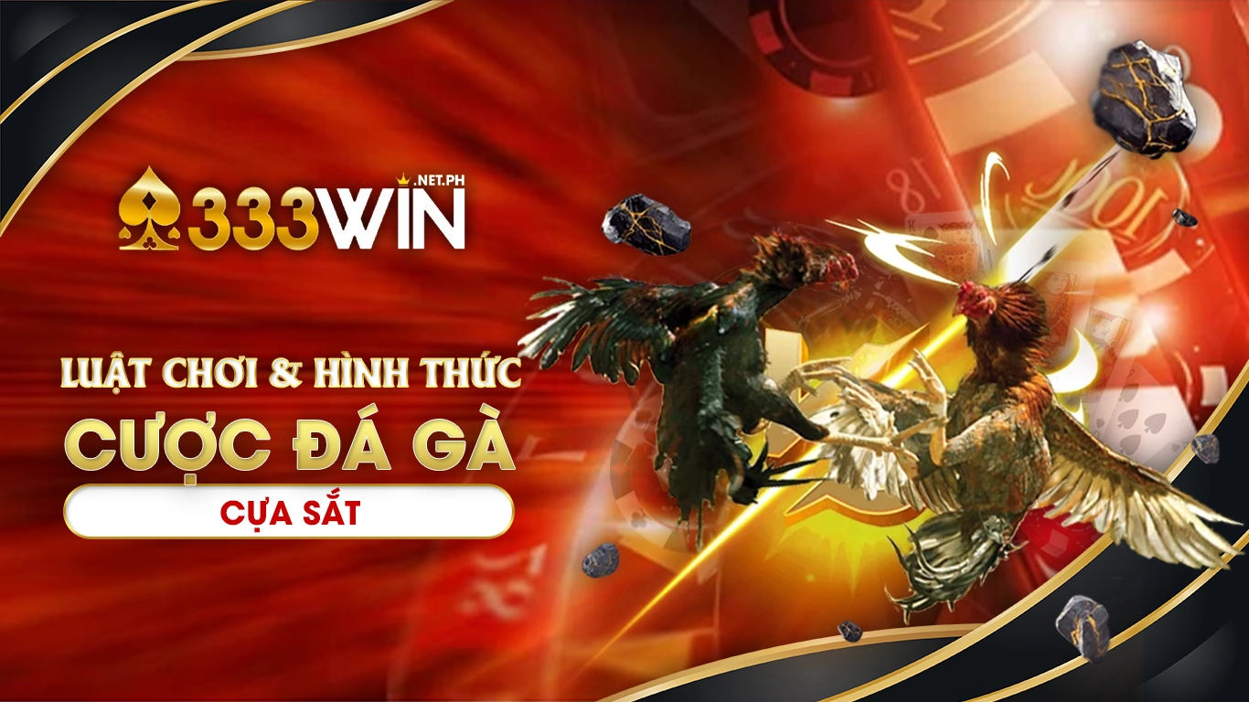 đá gà cựa sắt 333win 01